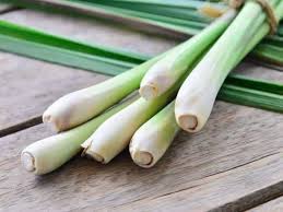 Serai seikat (dale 6 bate)